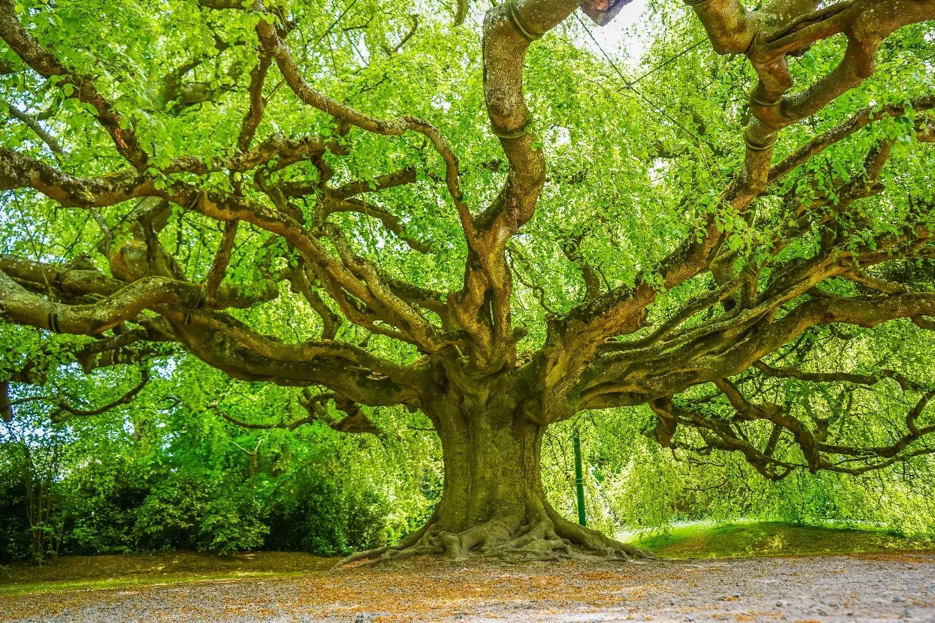 jardin-botanique-de-bayeux