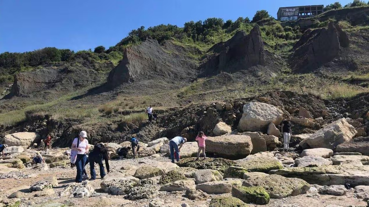 falaises des vaches noires