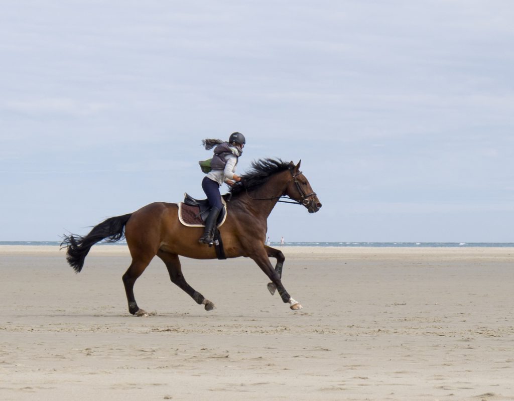 activité deauville activité deauville