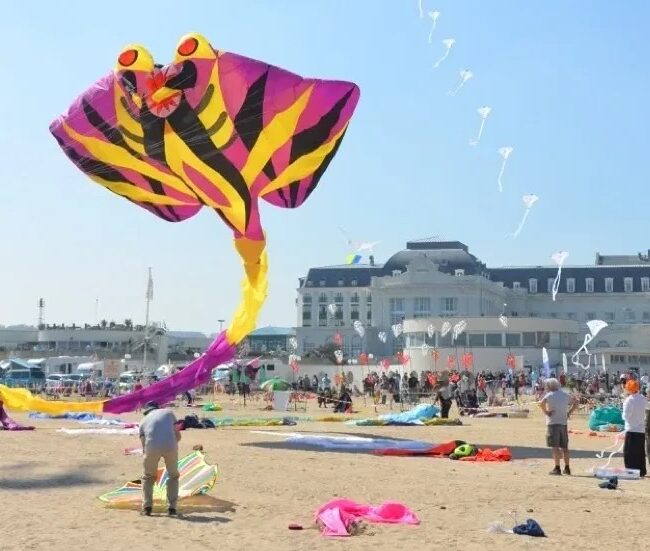 festival-du-cerf-volant