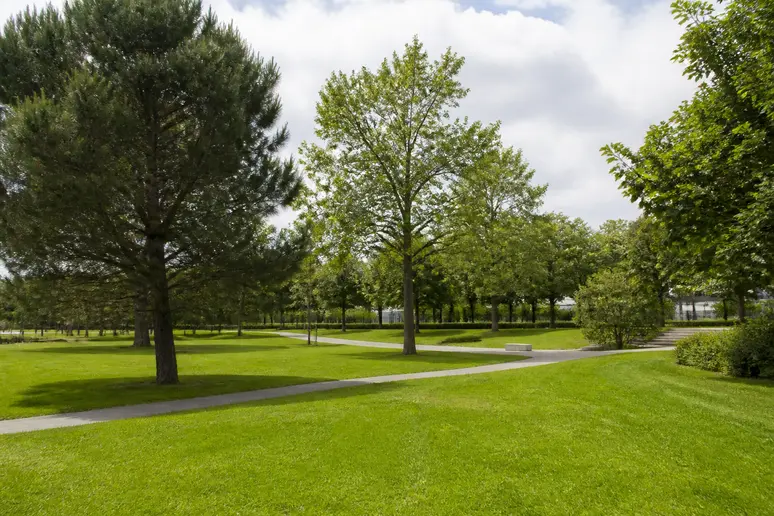 Allées arborées et pelouses du parc Michel d'Ornano à Caen