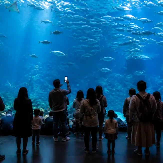 Visiteurs observant des poissons dans les bassins de l aquarium le plus grand de france