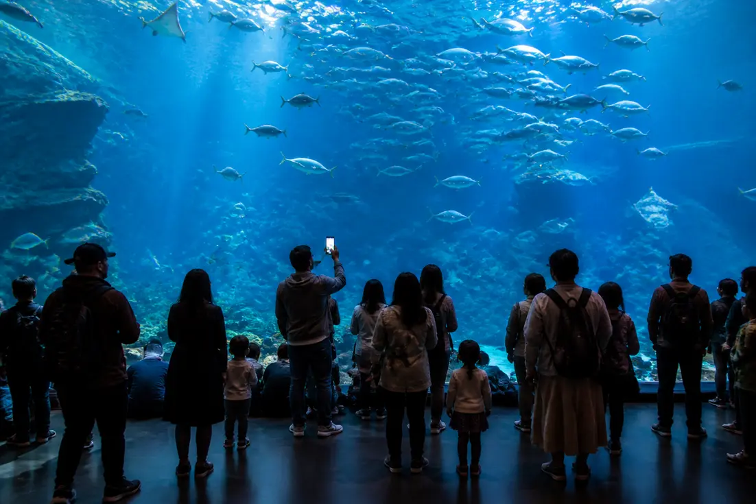 Visiteurs observant des poissons dans les bassins de l aquarium le plus grand de france