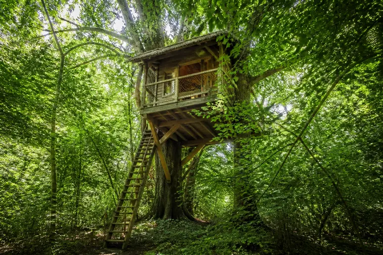 Cabane perchée en bois dans les arbres du domaine d'Étretat Aventure en Normandie.