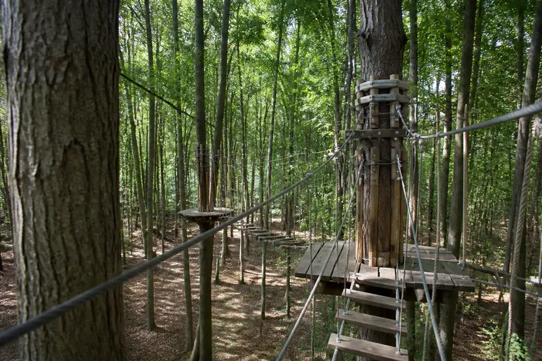Parcours d'accrobranche sécurisé dans la forêt d'Étretat Aventure pour les activités de loisirs.