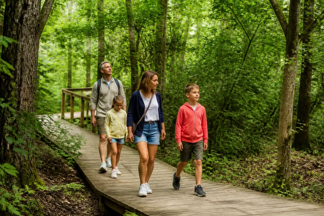 Famille marchant sur un sentier en bois dans une forêt verdoyante lors de leur visite à etretat aventure en Normandie