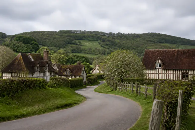 Route de campagne verdoyante bordée de pommiers dans le Pays d'Auge près de Deauville