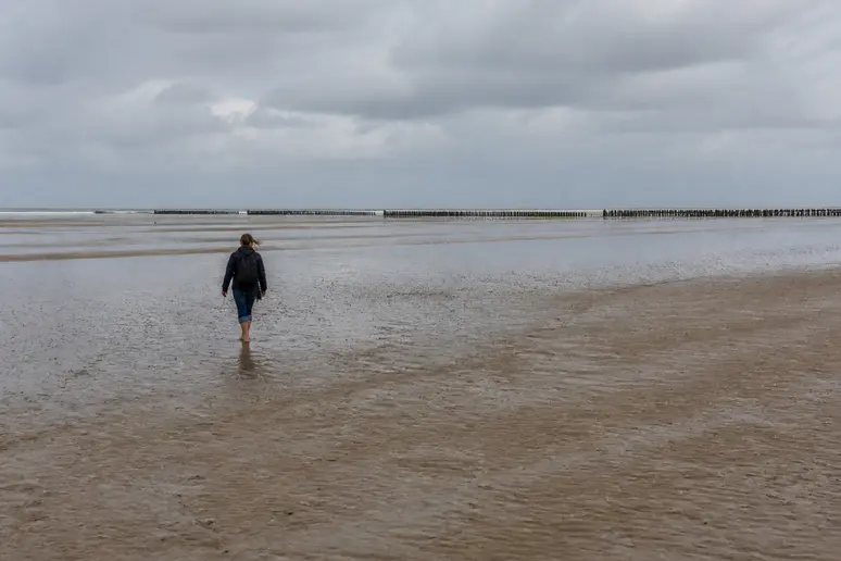 Grande étendue de sable mouillé sur l'estran normand sous un ciel couvert avec des brise-lames en bois