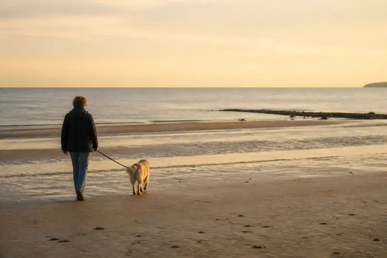 Promeneur avec son chien sur le sable de la plage de Deauville en fin de journée