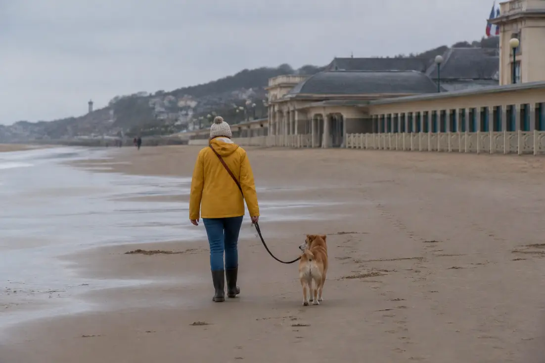 Un chien et son propriétaire se promènent sur la plage deauville chien lors d'une marée basse en Normandie.