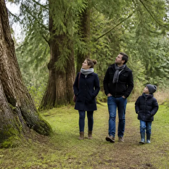 Visiteurs découvrant les arbres centenaires lors de la visite du Domaine Harcourt tarifs visite en Normandie