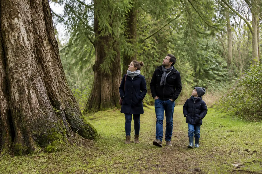 Visiteurs découvrant les arbres centenaires lors de la visite du Domaine Harcourt tarifs visite en Normandie