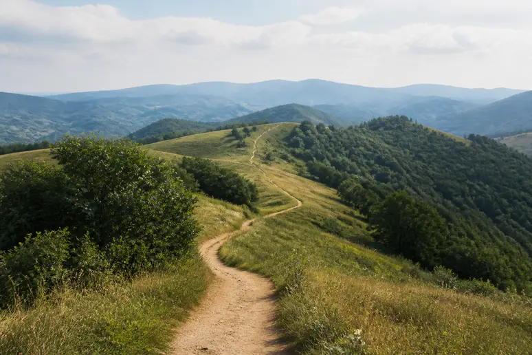 Chemin de randonnée serpentant à travers les collines boisées et les paysages de la région