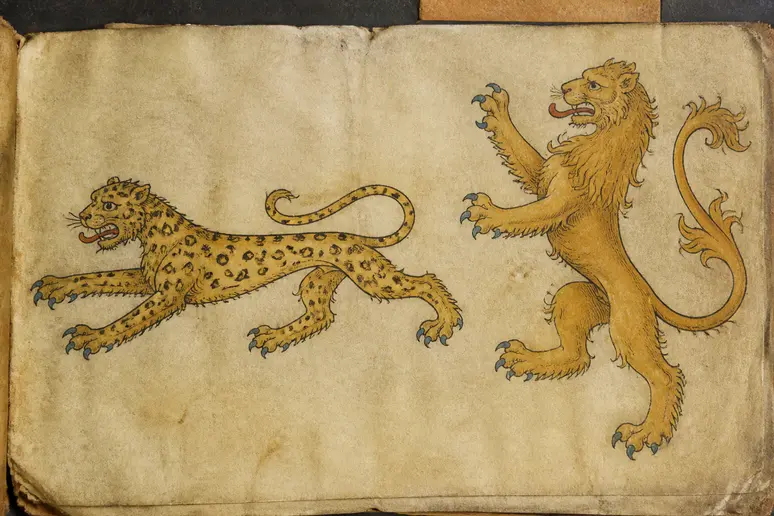 Détail d'un manuscrit héraldique montrant la distinction entre le léopard et le lion normand